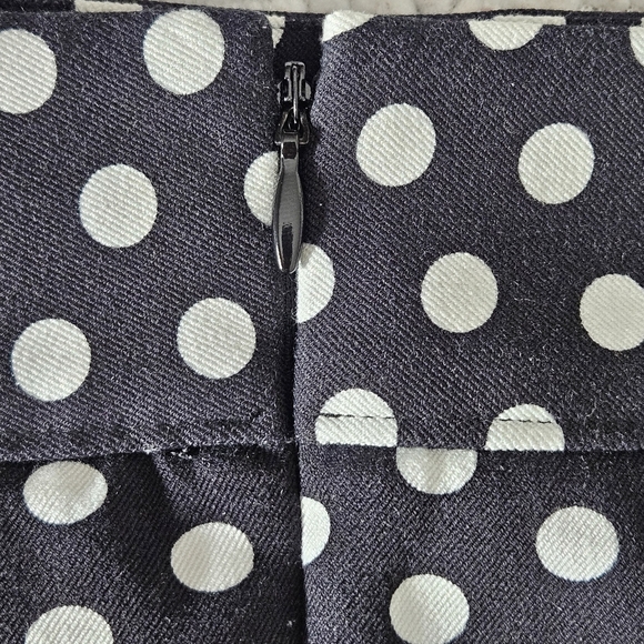 Ann Taylor LOFT Polkadot Skirt Size 6 - Picture 4 of 9